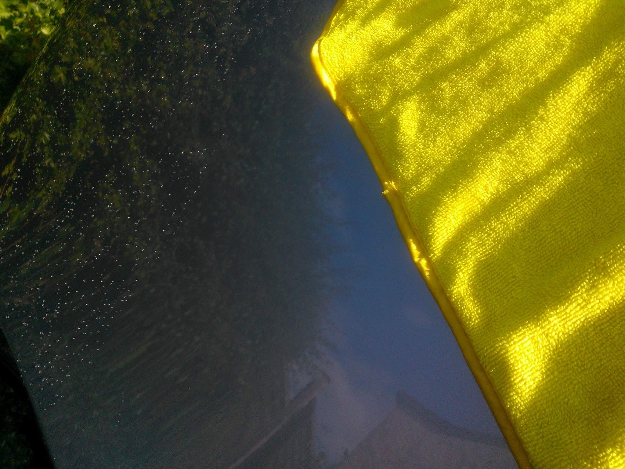 WP_000754.jpg