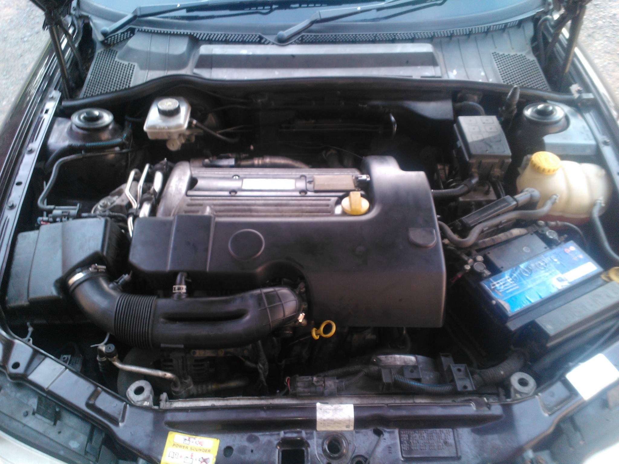WP_000996.jpg