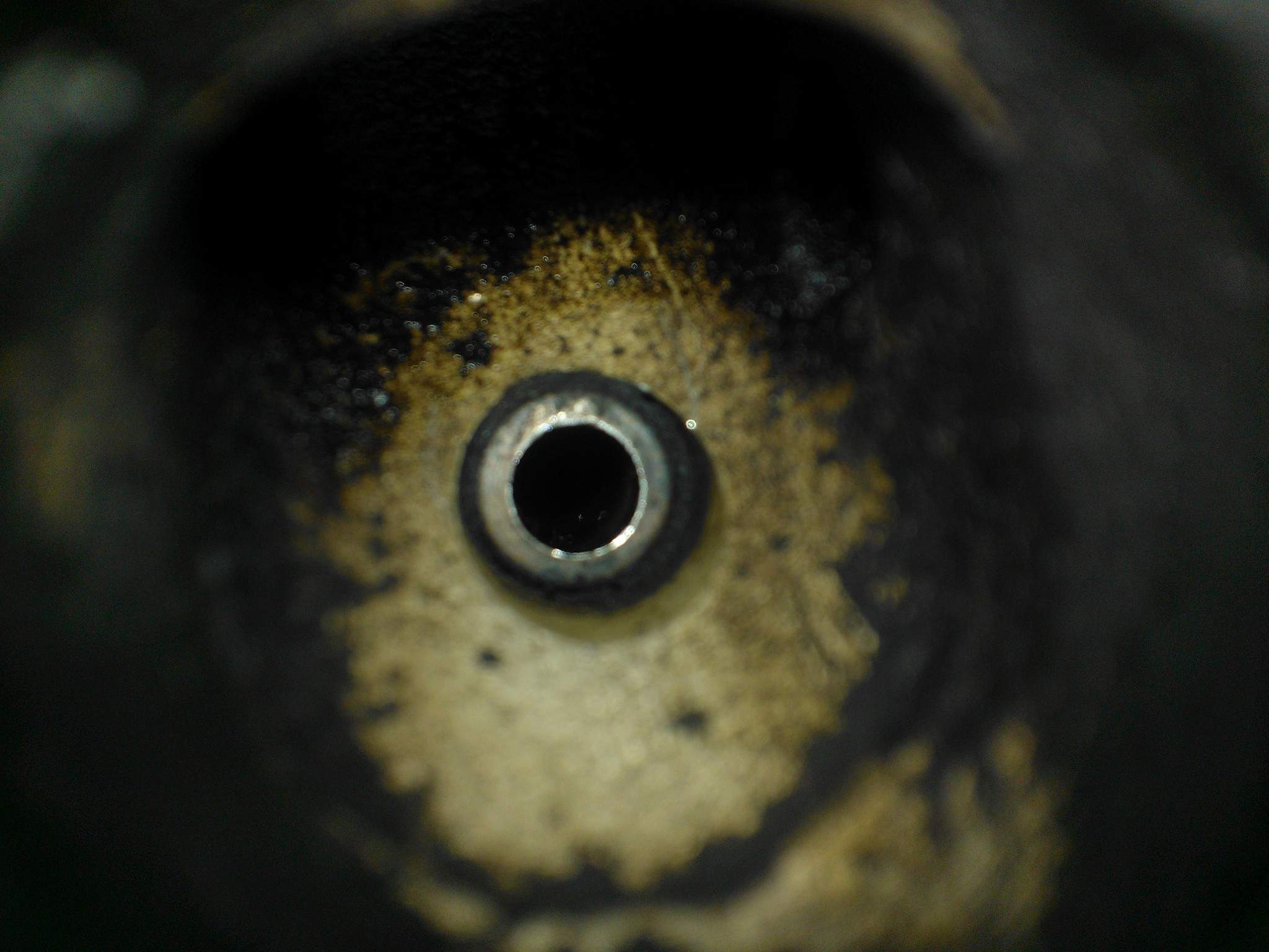 WP_001108.jpg