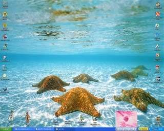 ai31.photobucket.com_albums_c363_gozoff1_misc_mydesktop.jpg