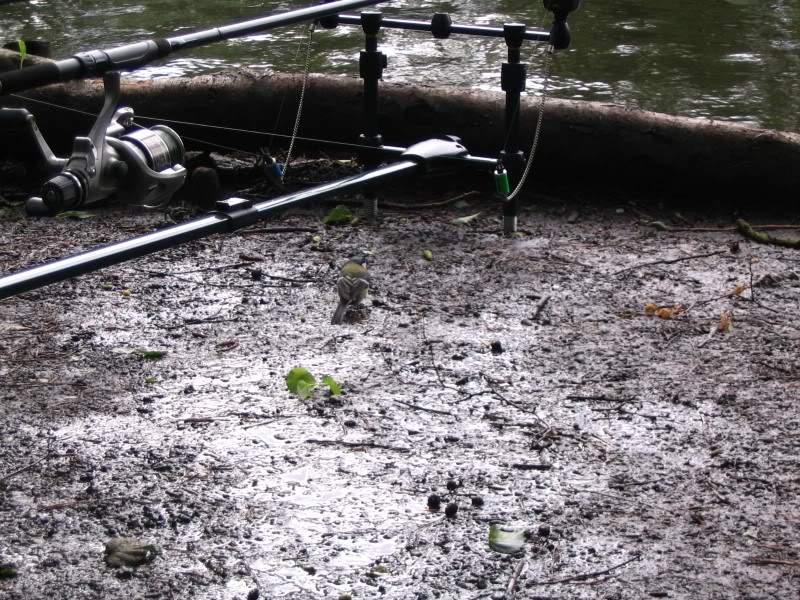 ai15.photobucket.com_albums_a359_Leehgt_Picture009.jpg