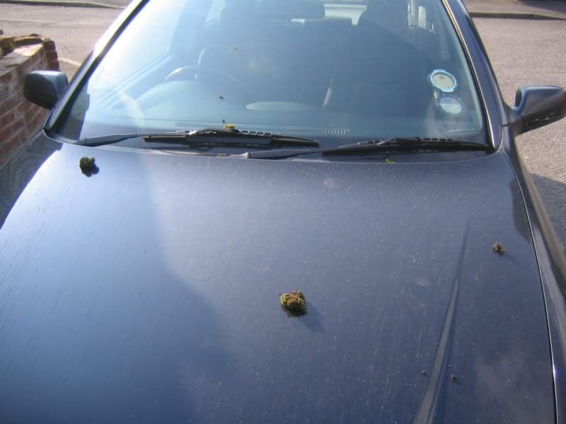 ai31.photobucket.com_albums_c394_Simd_astra_2007_Carapril07047.jpg