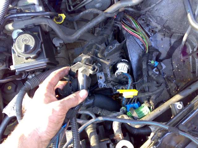 acdn.z22se.com_userpix_3_02062007029_1.jpg