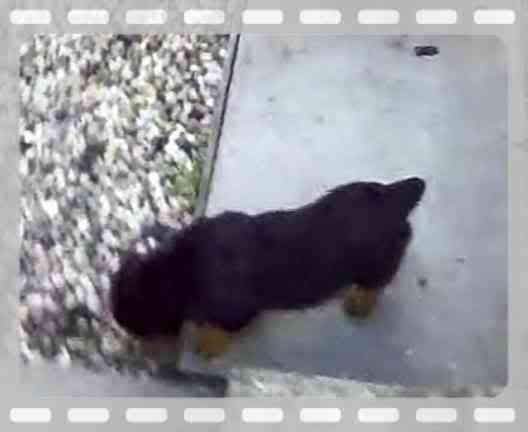 aimg.photobucket.com_albums_v318_markmk_th_e36e8b40.jpg