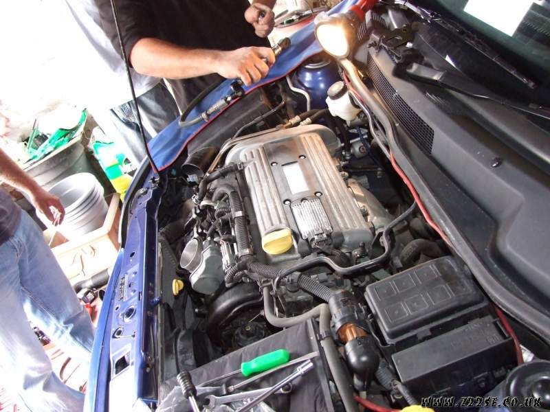 acdn.z22se.com_userpix_58_z22se_Day_010_1.jpg