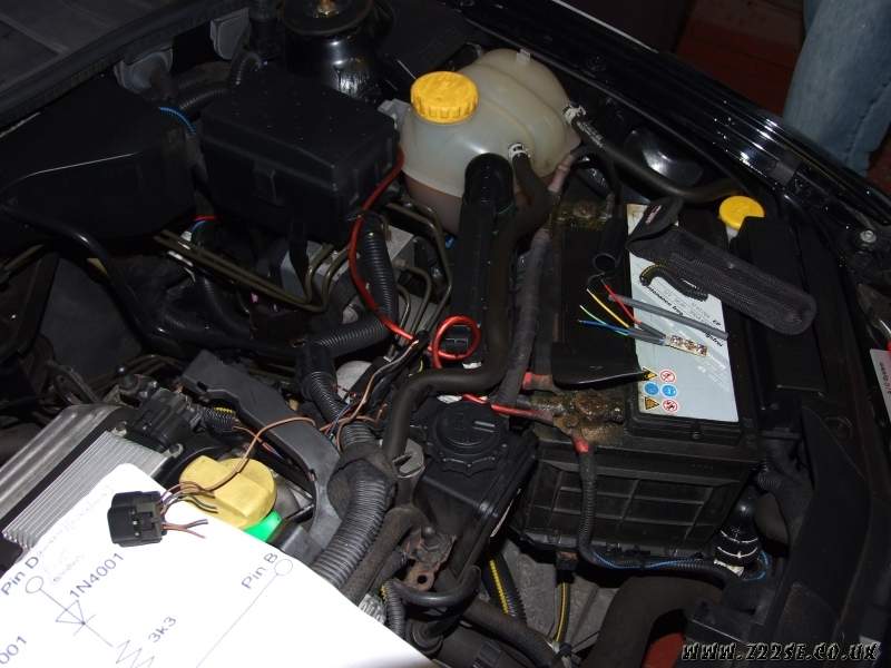 acdn.z22se.com_userpix_58_z22se_Day_039_1.jpg