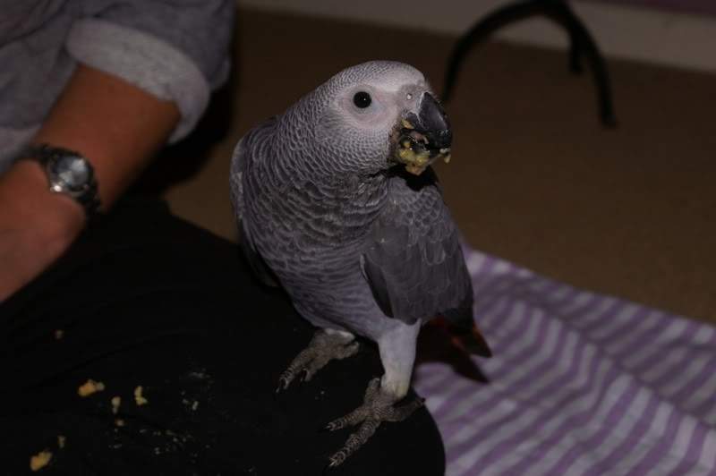 aimg.photobucket.com_albums_v312_KarlosFandango_PICT0036.jpg