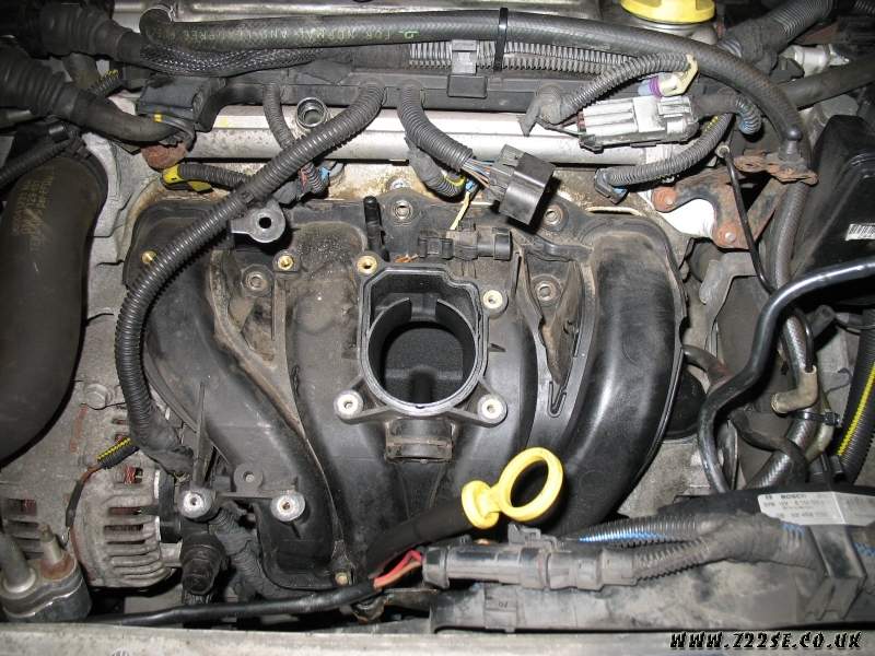 acdn.z22se.com_userpix_41_IMG_0949_1.jpg