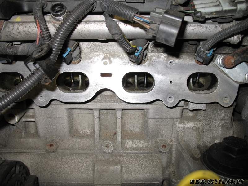 acdn.z22se.com_userpix_41_IMG_0955_1.jpg