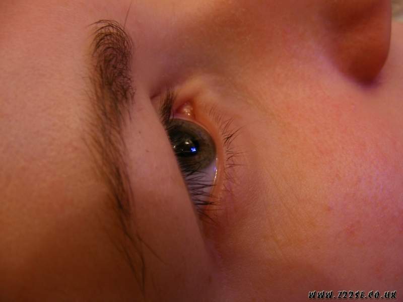 acdn.z22se.com_userpix_2_00010_1.jpg