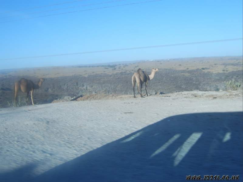 acdn.z22se.com_userpix_217_sv500084_1.jpg