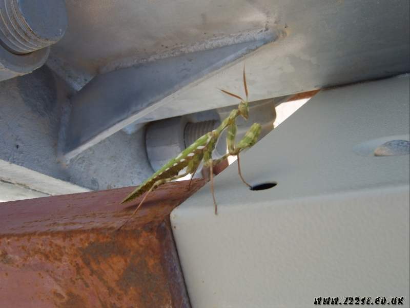 acdn.z22se.com_userpix_217_sv500091_1.jpg