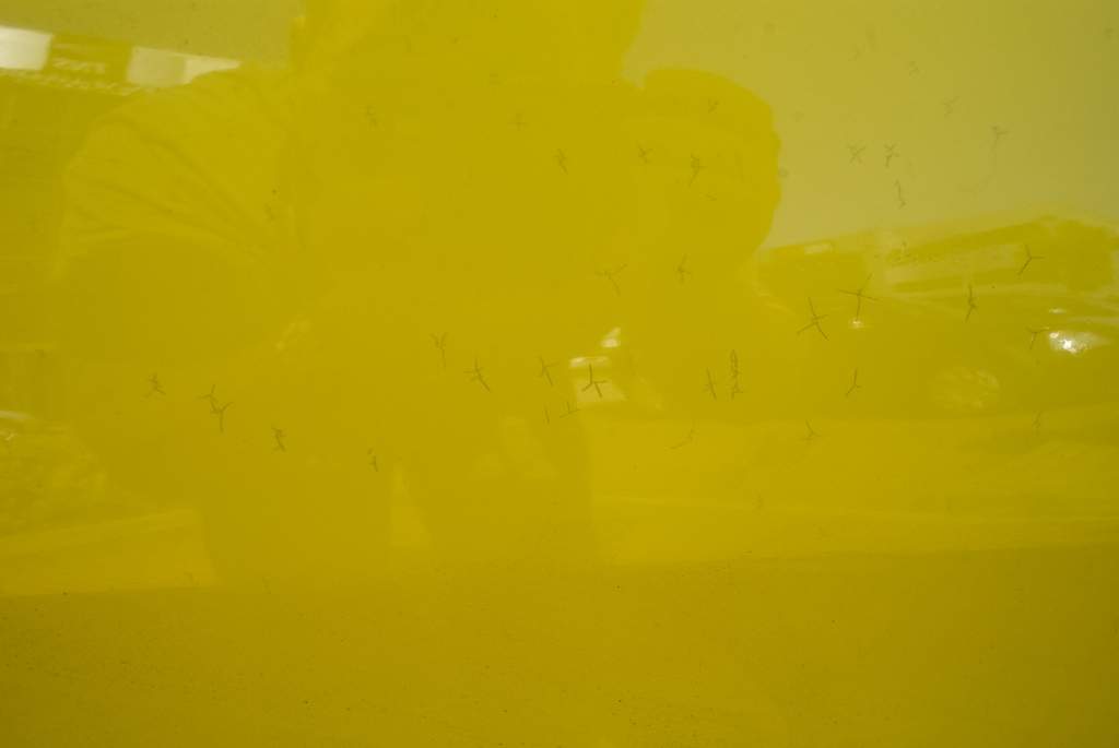 afarm4.static.flickr.com_3054_2874514061_3874a489b6_b.jpg