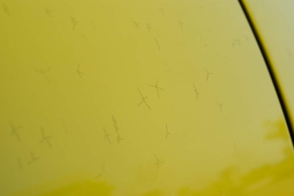 afarm4.static.flickr.com_3174_2875337766_6c65cf0e8b_b.jpg