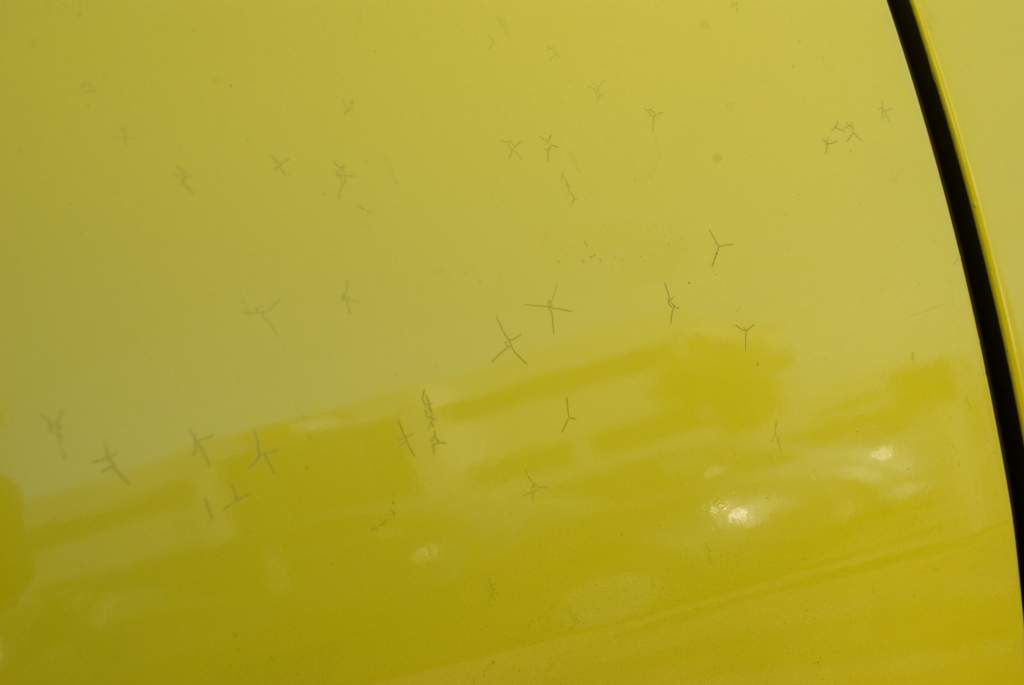 afarm4.static.flickr.com_3202_2874506893_111fdd6cda_b.jpg
