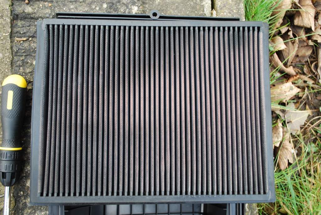 afarm4.static.flickr.com_3390_3233759429_db99020059_b.jpg