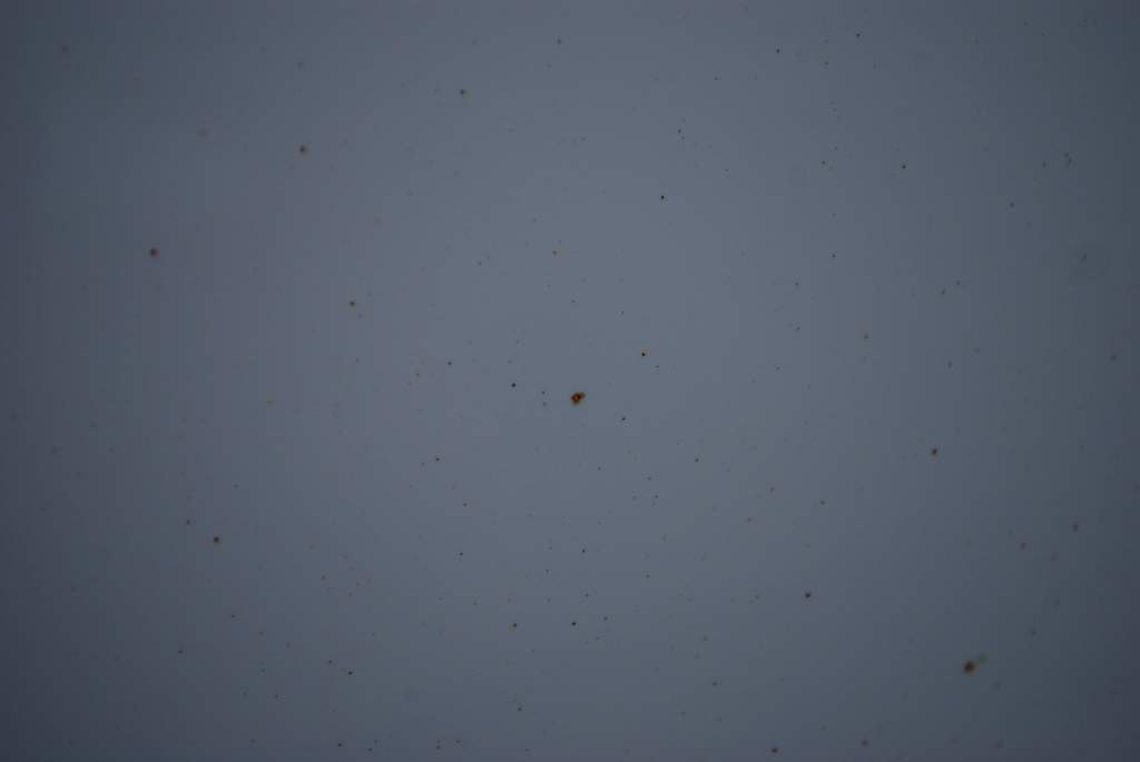 afarm4.static.flickr.com_3600_3367823863_11762b65cf_b.jpg