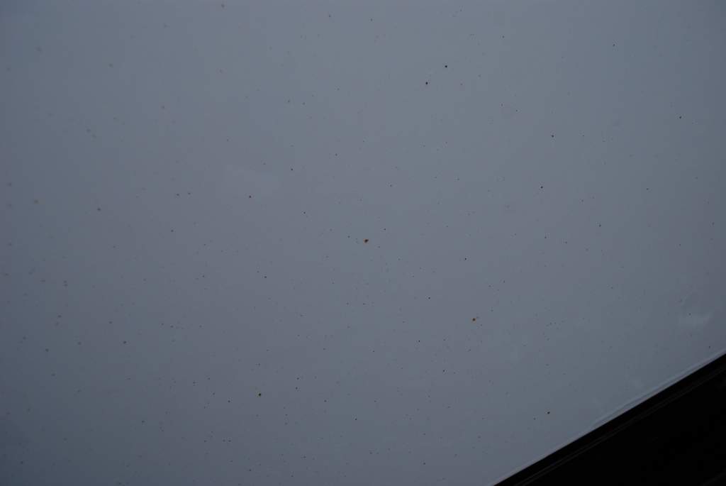 afarm4.static.flickr.com_3581_3367825155_eed91b8604_b.jpg