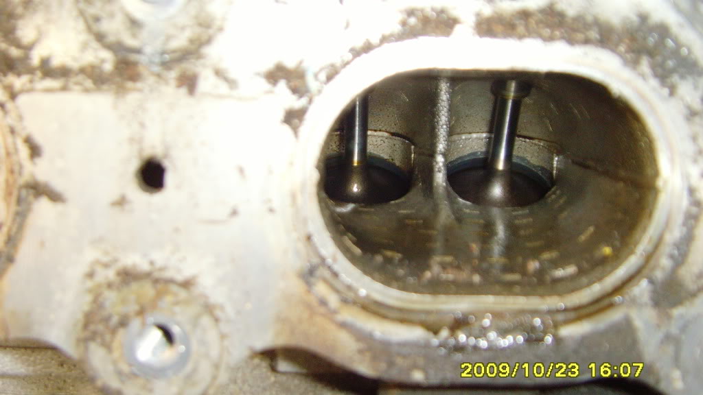 ai272.photobucket.com_albums_jj161_ephid0r_SNV31090.jpg