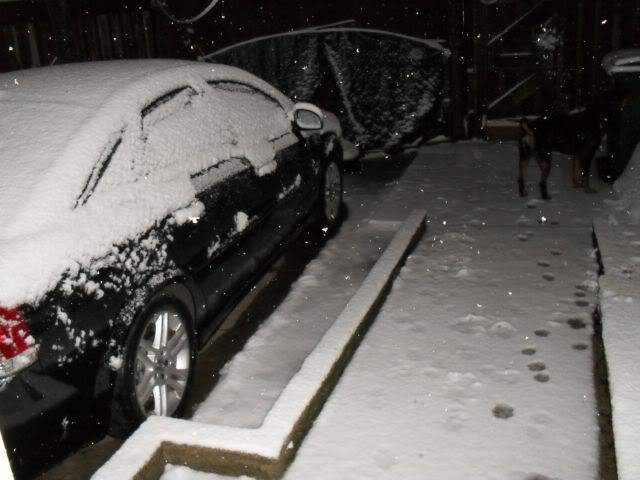 aimg.photobucket.com_albums_v318_markmk_007_15.jpg
