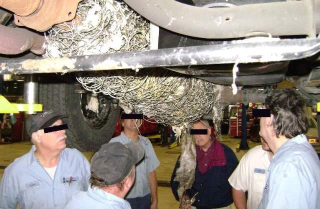 ai124.photobucket.com_albums_p20_abrentduncan_Ford3_1.jpg