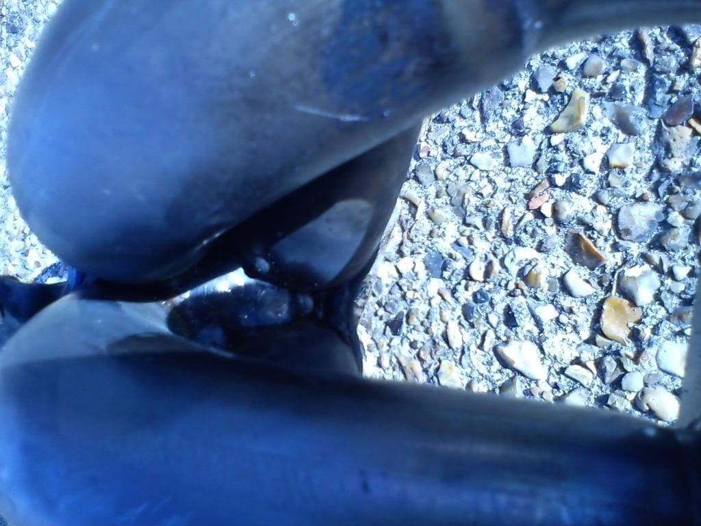 ai838.photobucket.com_albums_zz301_poundy_DSC00079.jpg