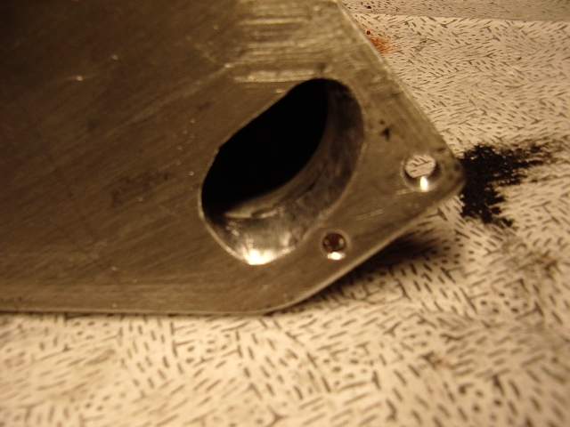 IMGP3147.jpg