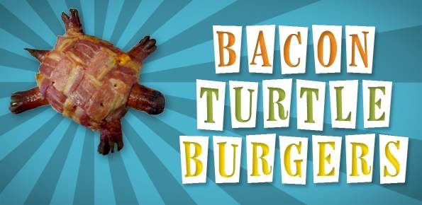 abacontoday.com_wp_content_uploads_2010_03_bacon_turtle_main1.jpg