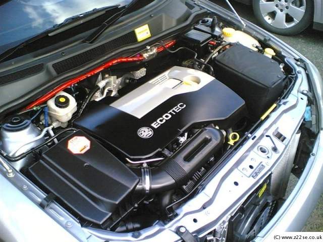acdn.z22se.com_userpix_2_10042006Medium_1.jpg