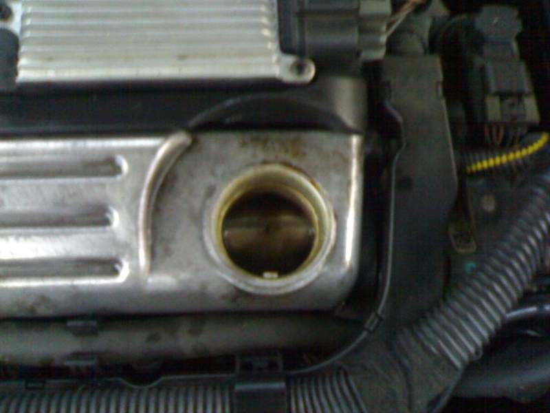 acdn.z22se.com_userpix_41_20012007937_1.jpg