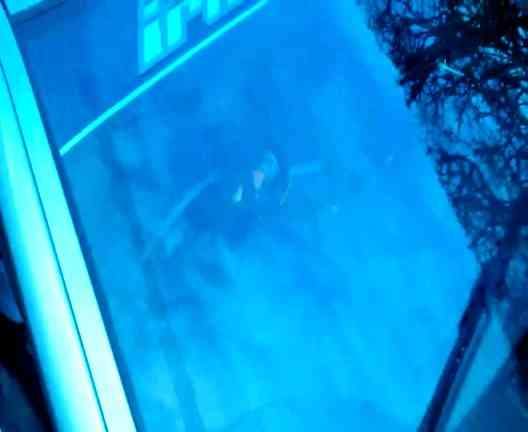ai556.photobucket.com_albums_ss6_evocarlos1_th_WP_20130327_161300Z_1.jpg