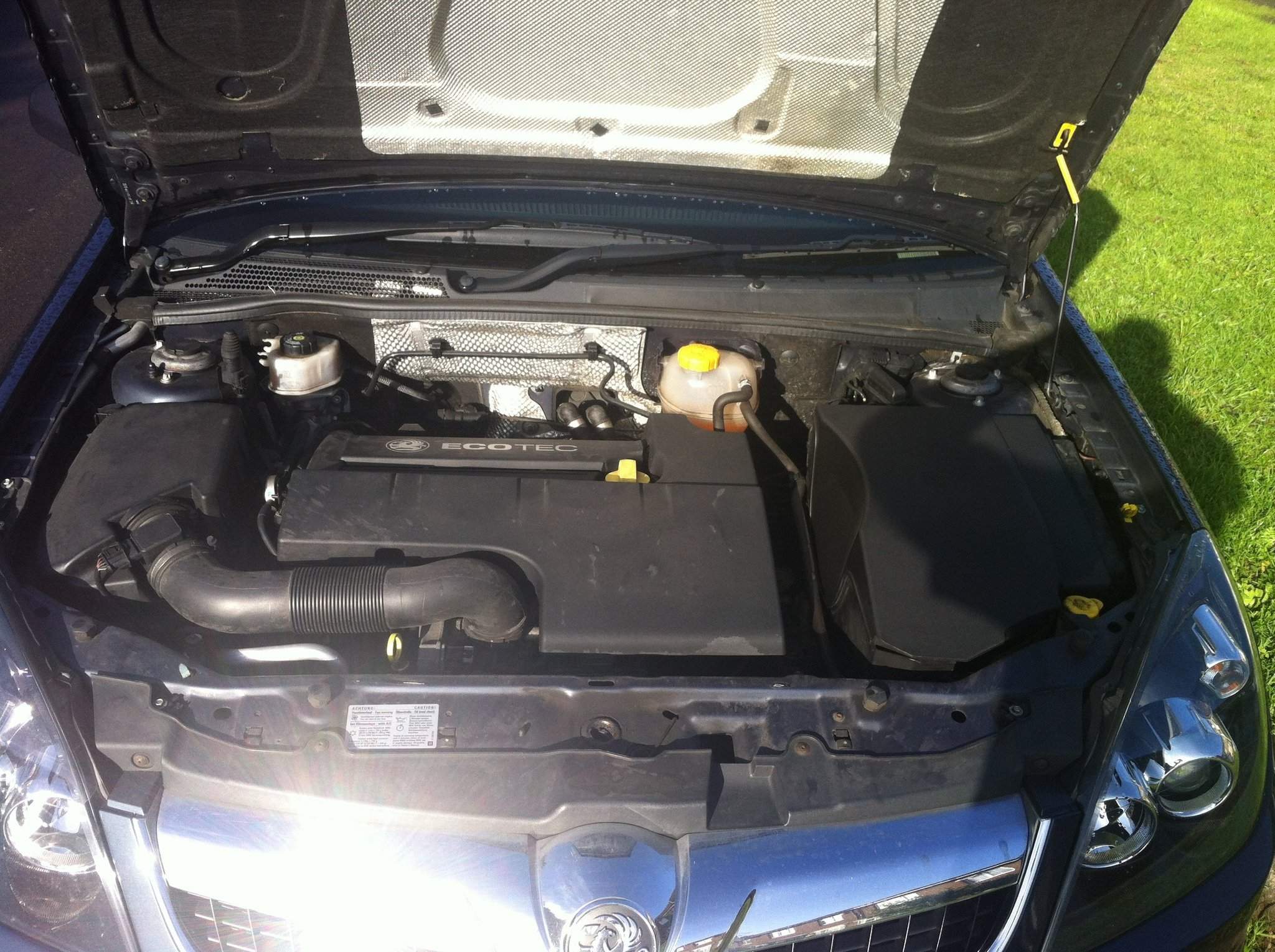 my_vectra.jpeg