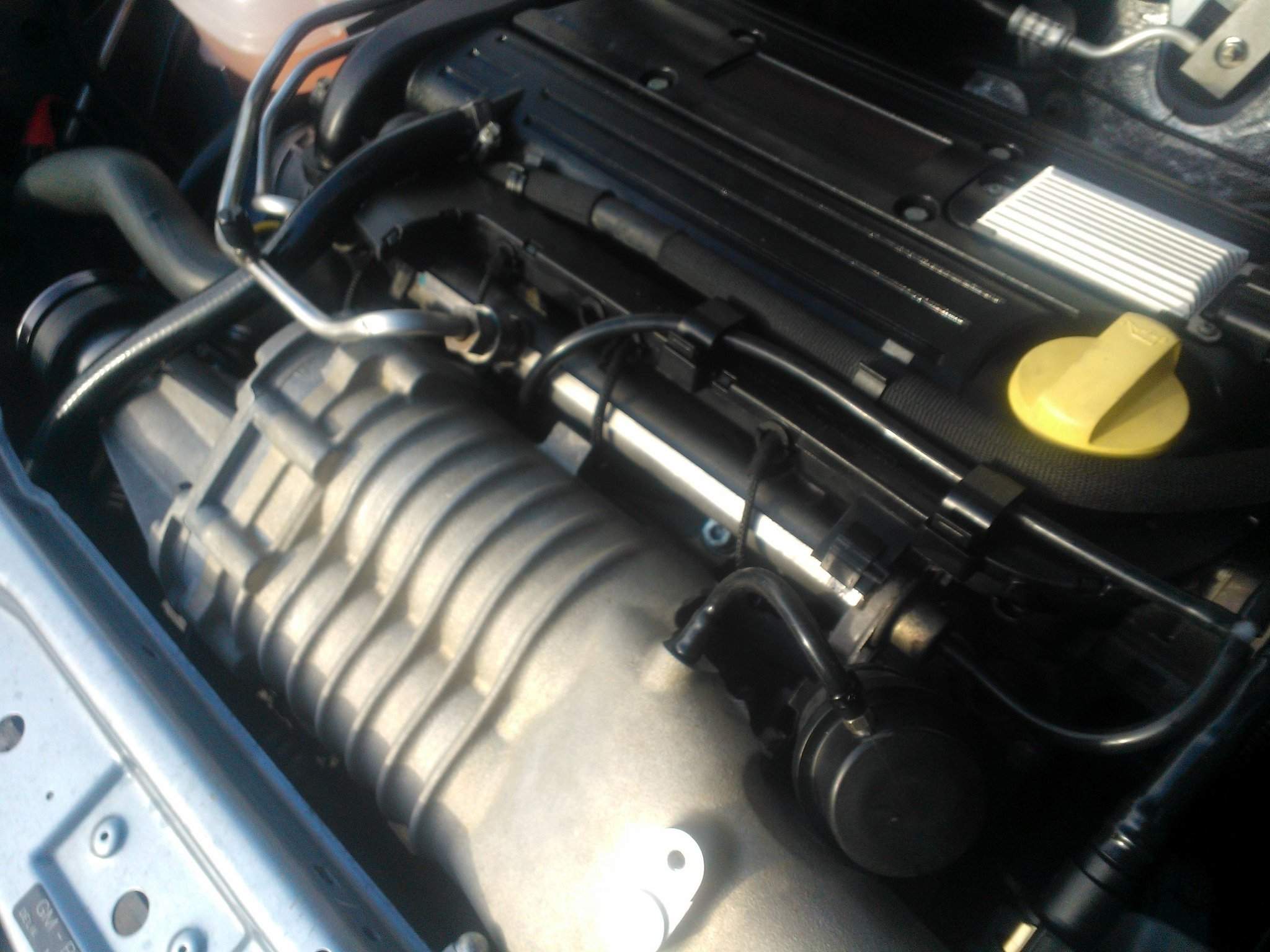 WP_000111.jpg