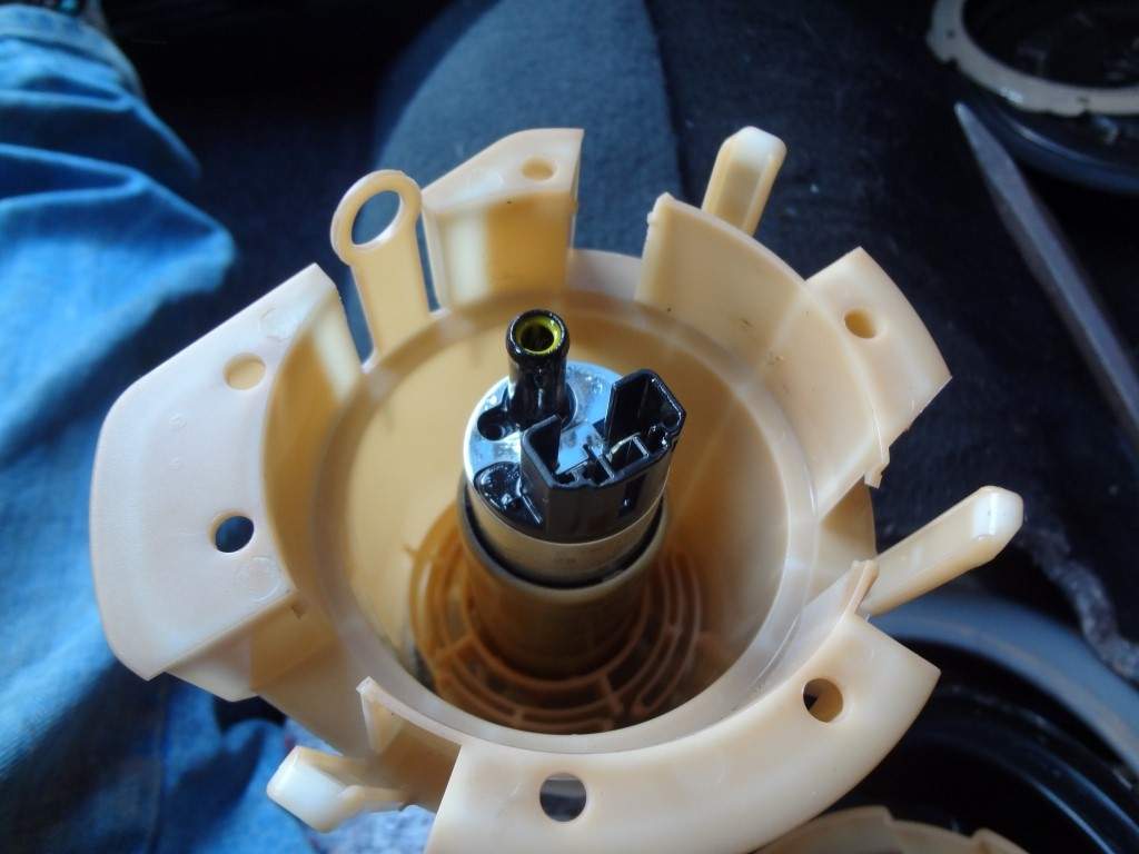 DSC09692_Medium.jpg