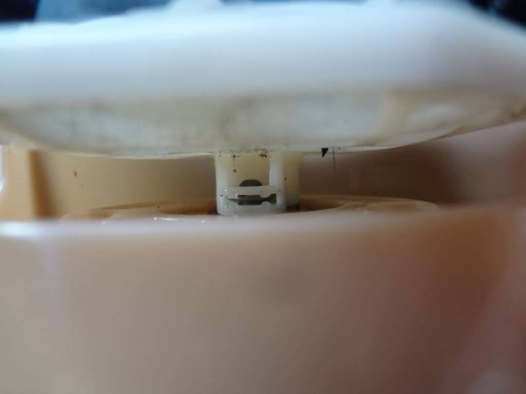 DSC09693_Medium.jpg