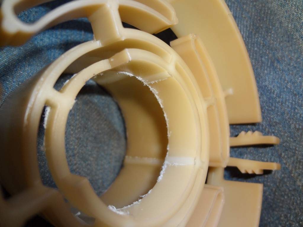 DSC09704_Medium.jpg