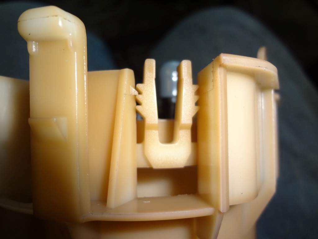 DSC09705_Medium.jpg