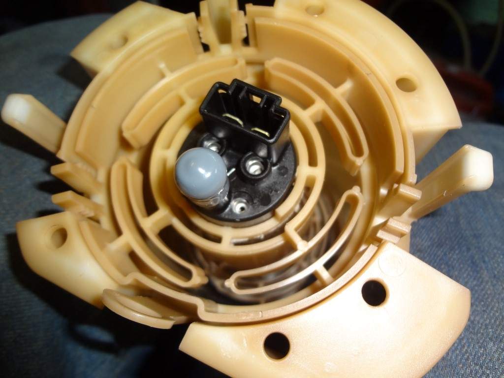 DSC09706_Medium.jpg