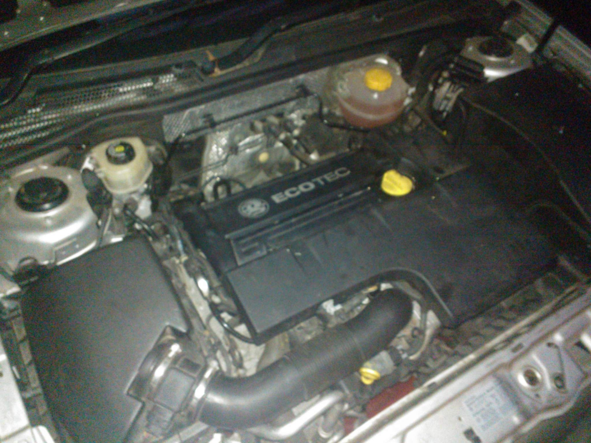 WP_000854.jpg