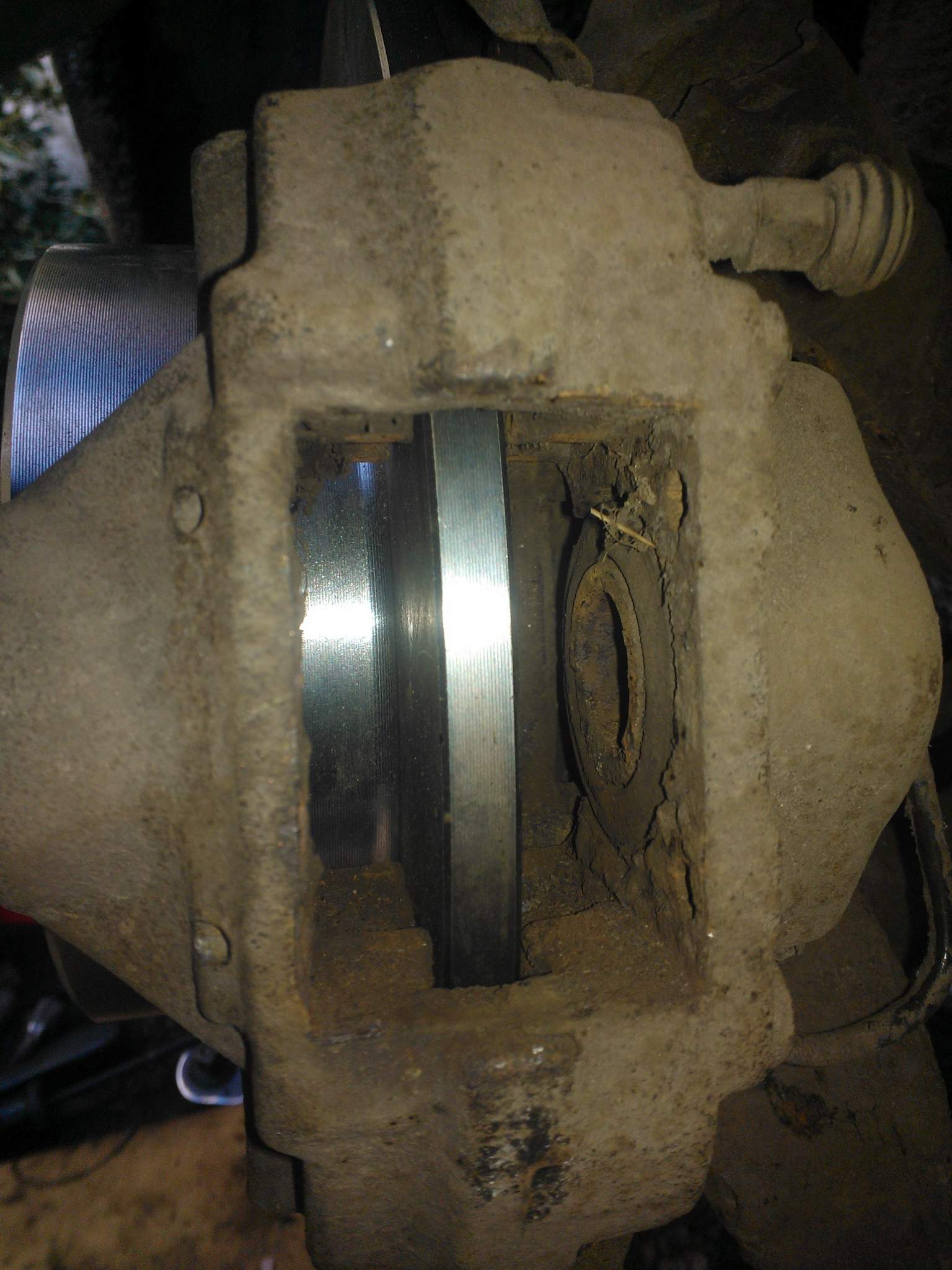 WP_000884.jpg