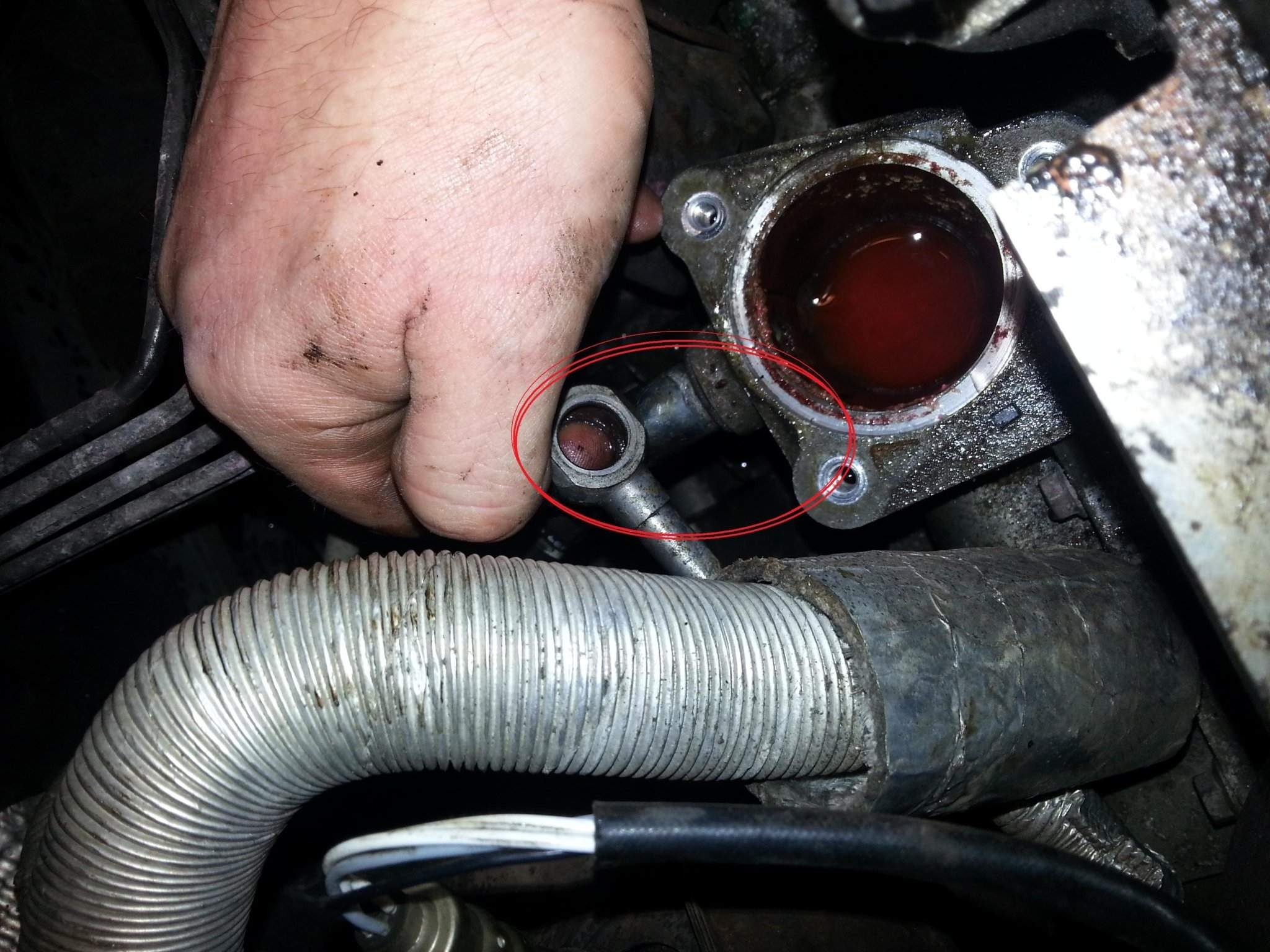 thermostat_housing.jpg