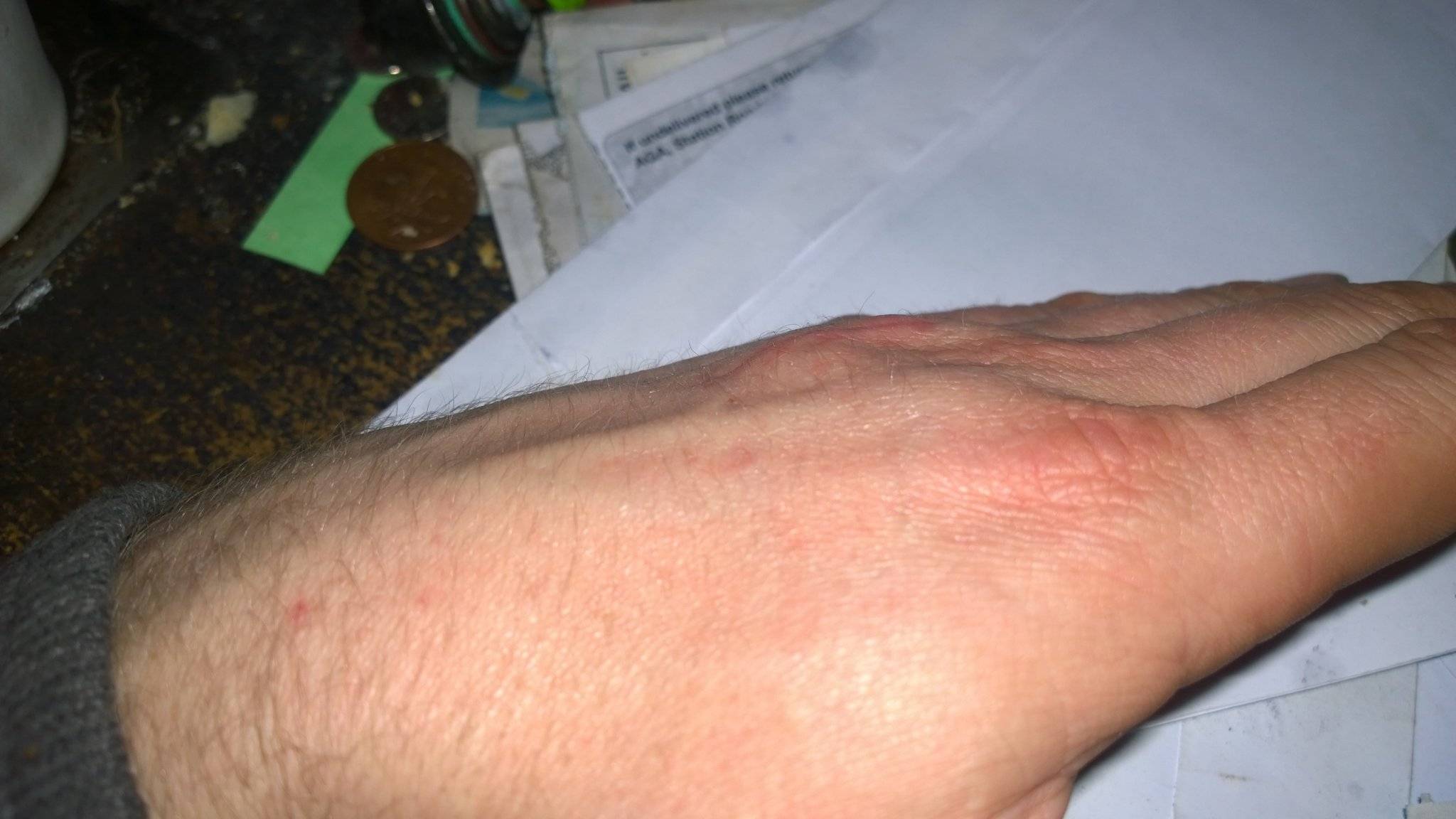 WP_20150322_21_41_43_Pro.jpg