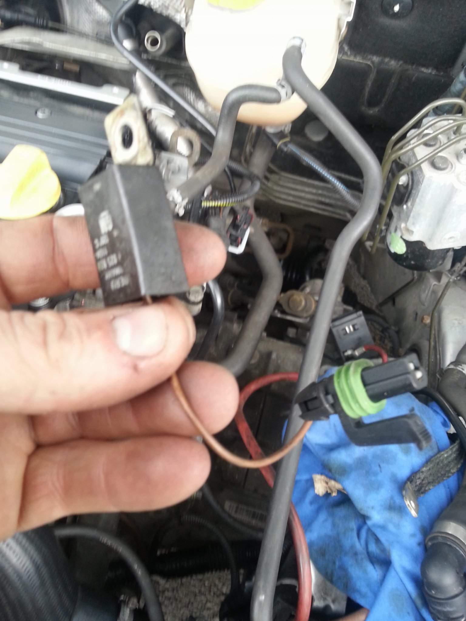 20150419_162819.jpg