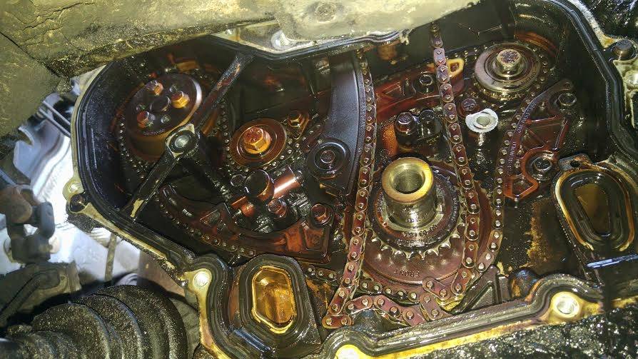 vectra_8.jpg
