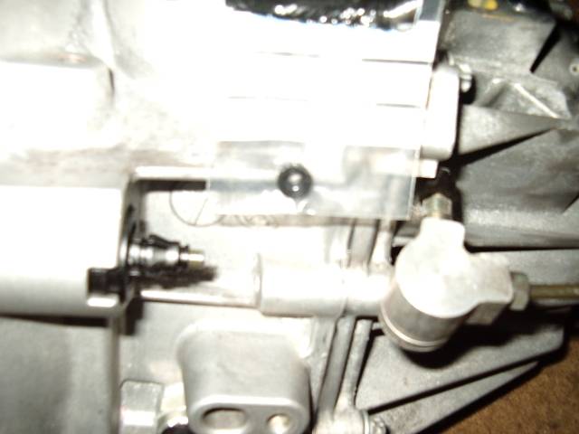 IMGP3102.jpg