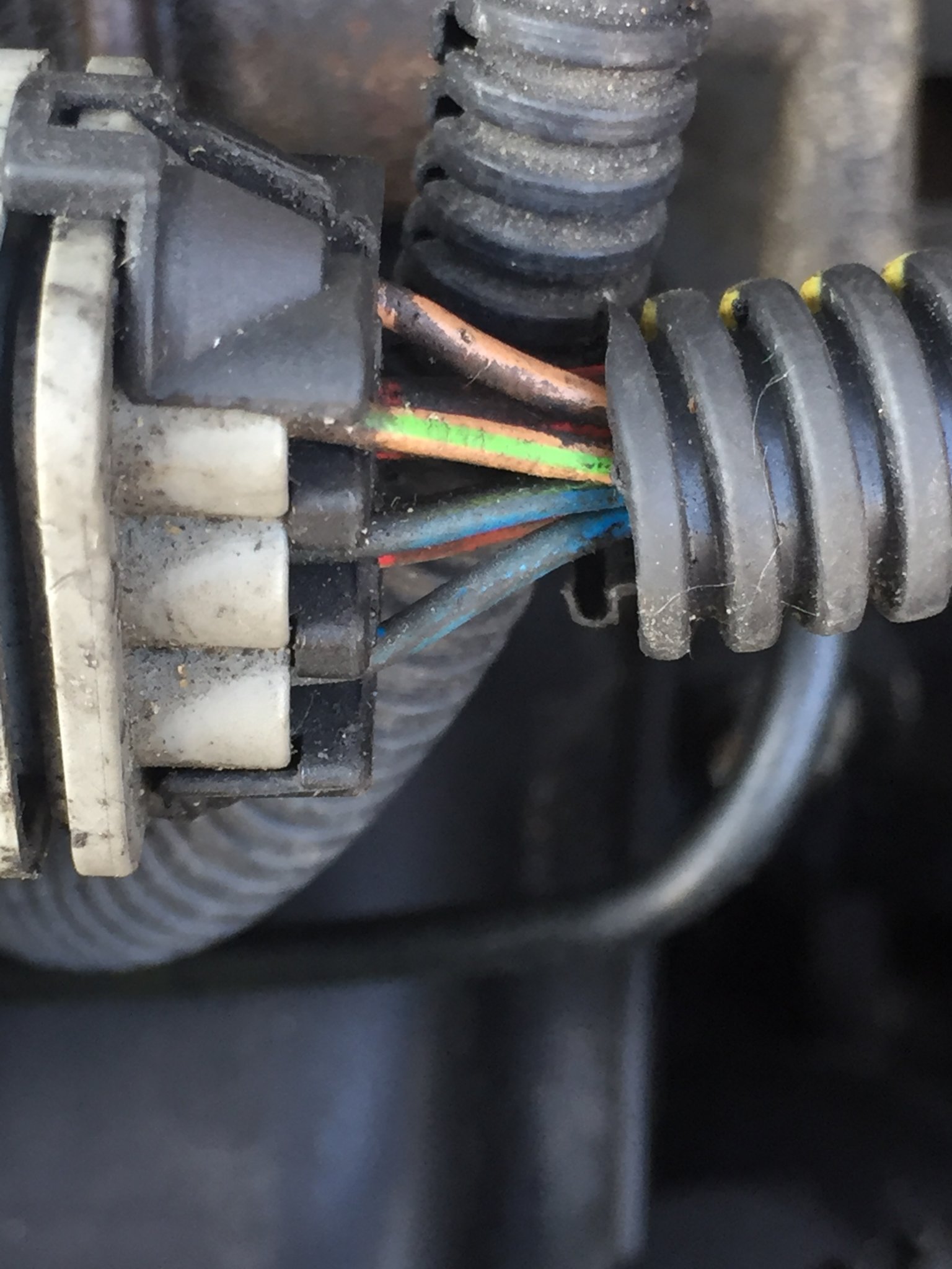 95CC71F9-FFB9-4DA2-BCDE-4F4A64CC1128.jpeg