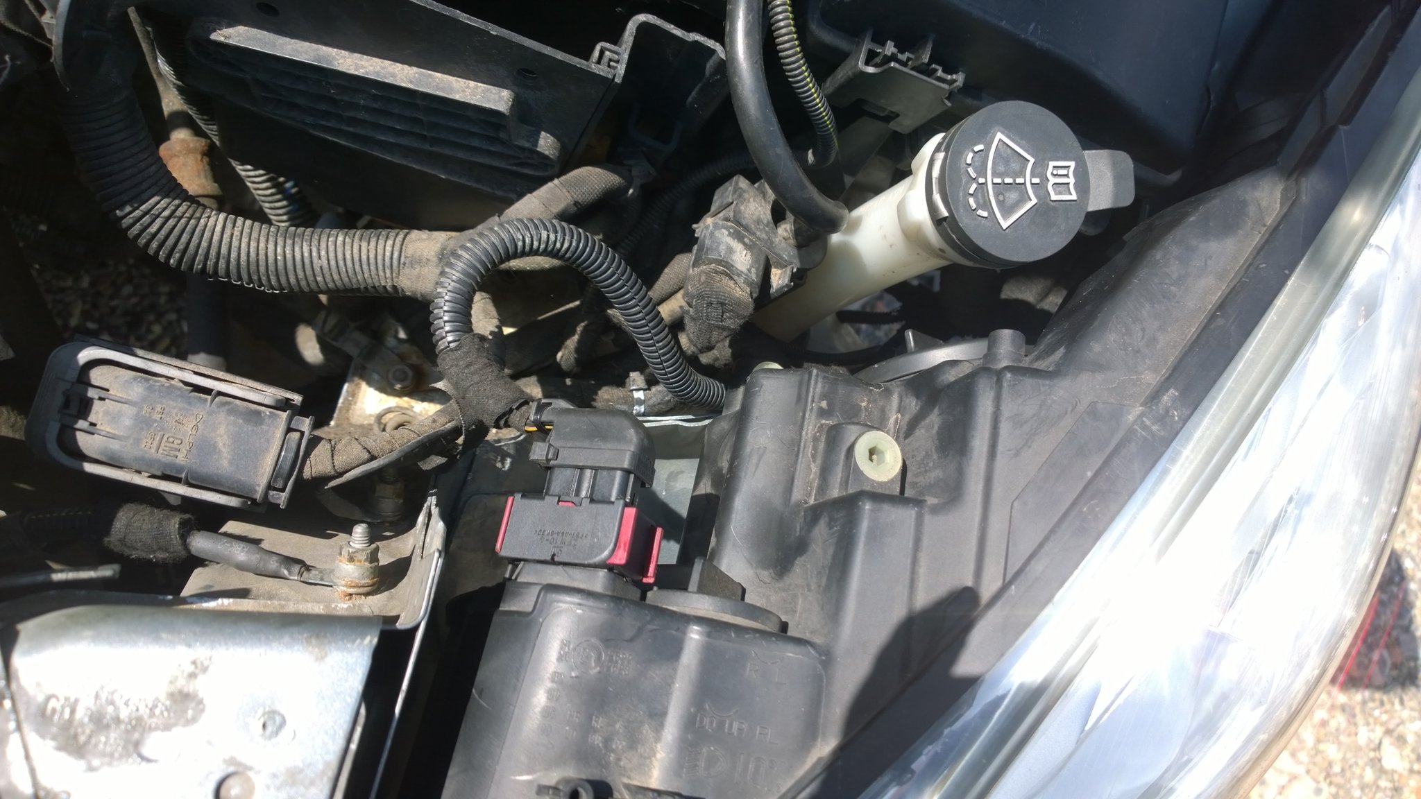 WP_20180601_15_31_41_Pro.jpg