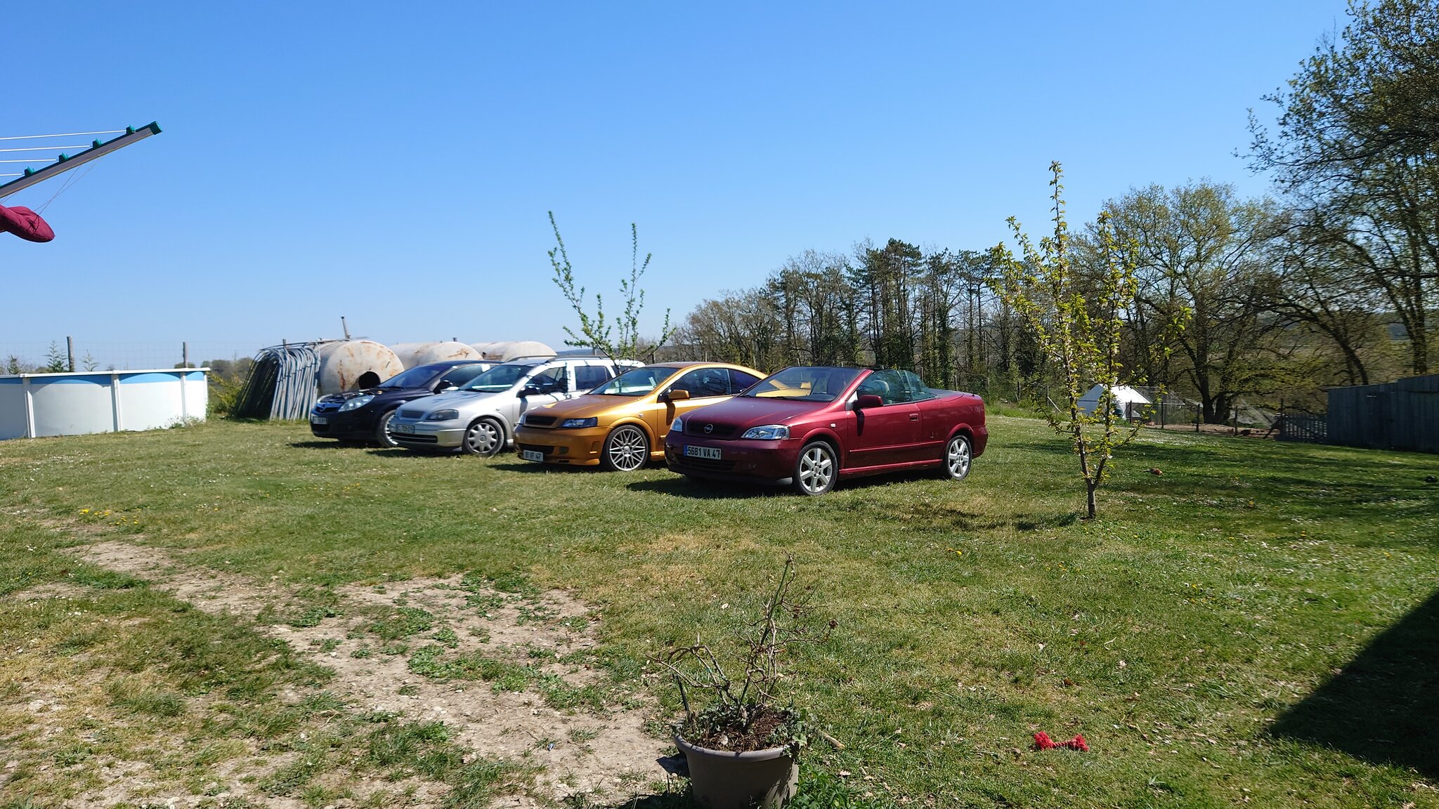DSC_1398.jpg