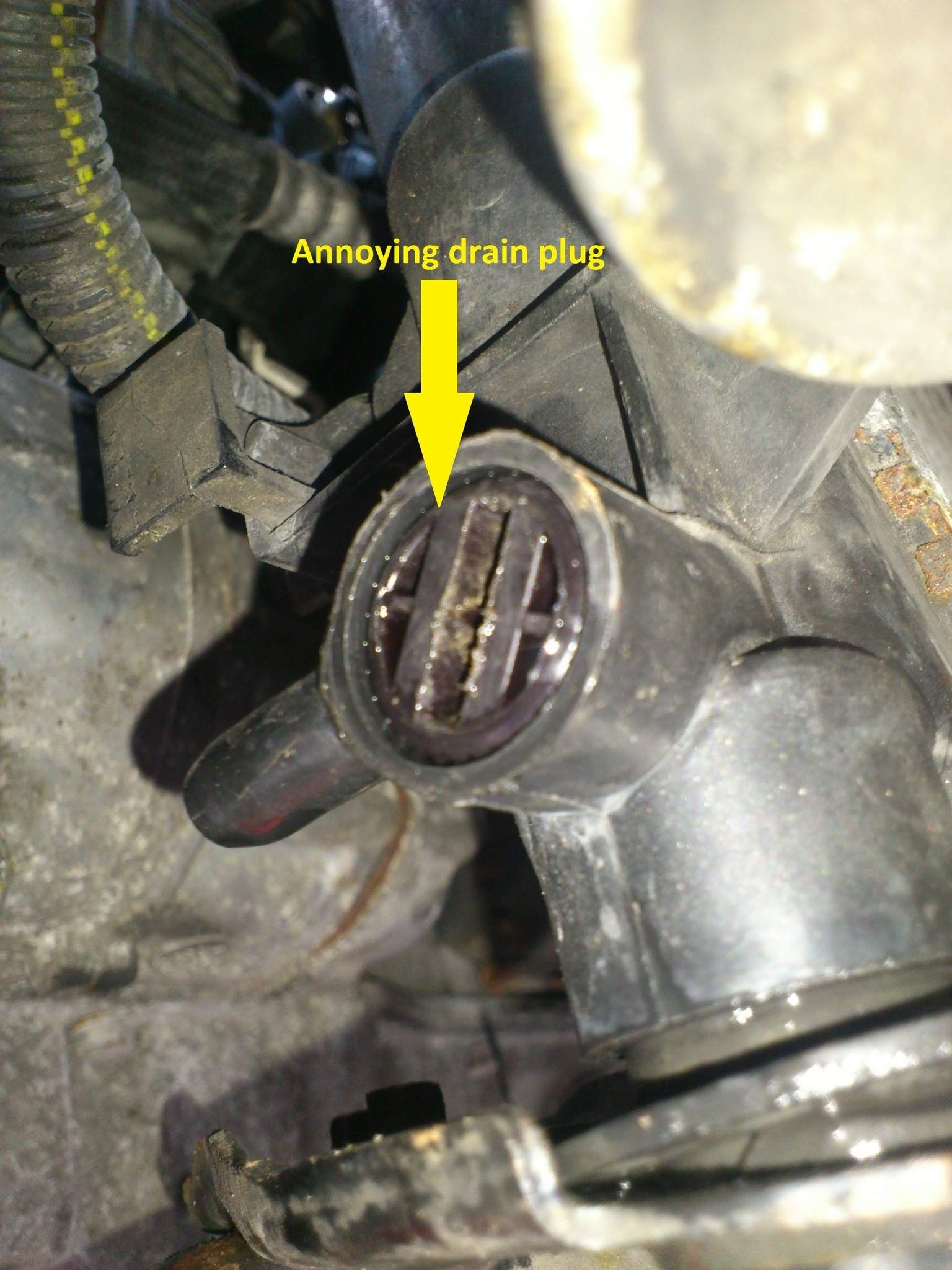 drain_plug1.jpg