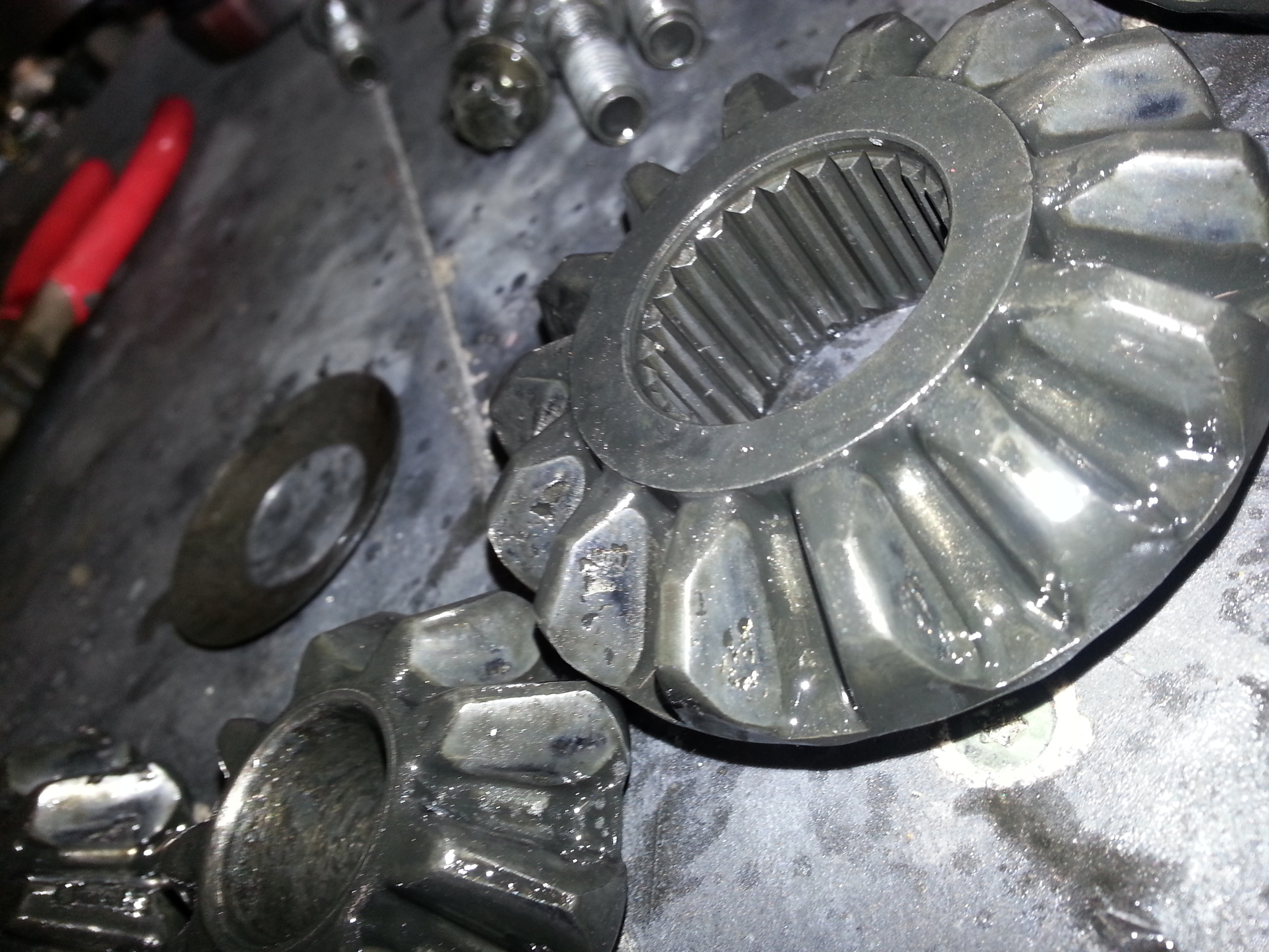 20130406_160358.jpg